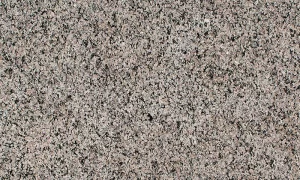 New Caledonia granite slab with polished finish and speckled pattern
